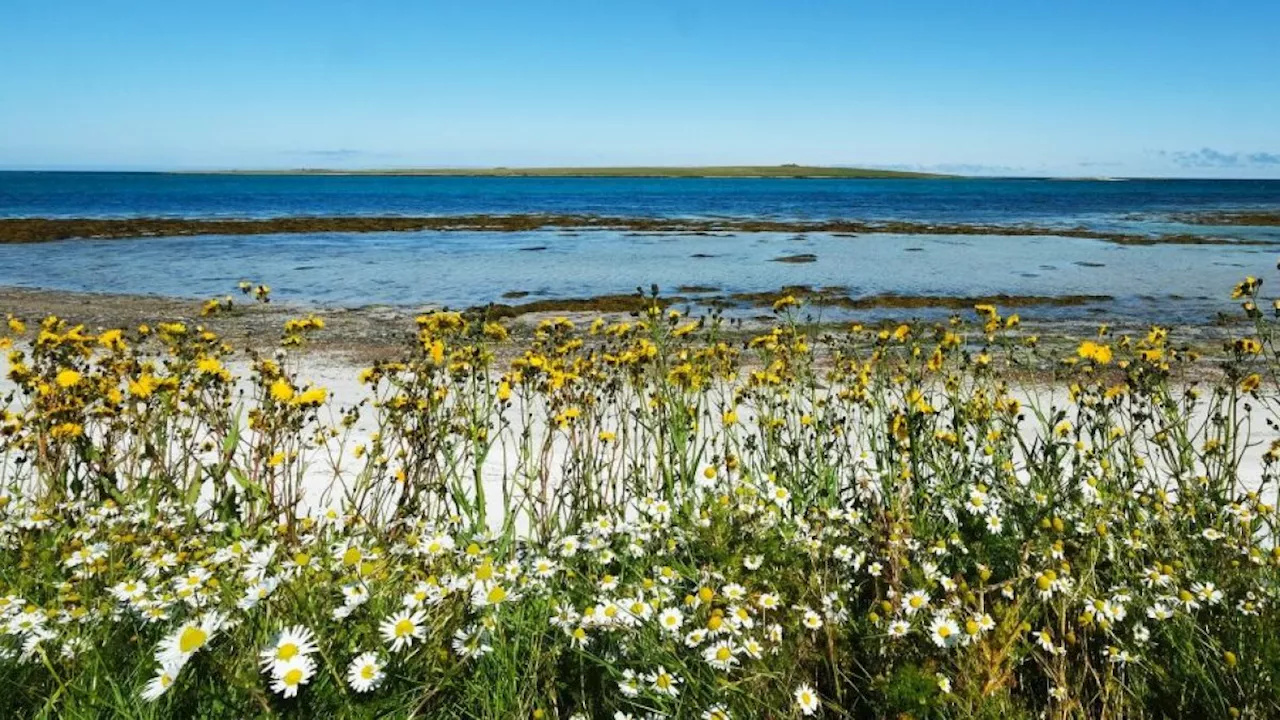 The Atlantic island with Neolithic history, seabirds and hardly any tourists