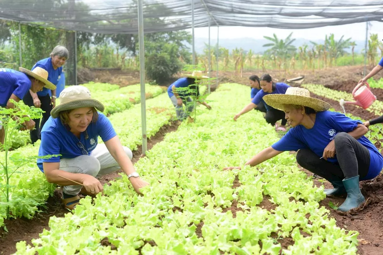 Touchdown: SM Foundation KSK farmers cultivate organic farm at Davao Airport