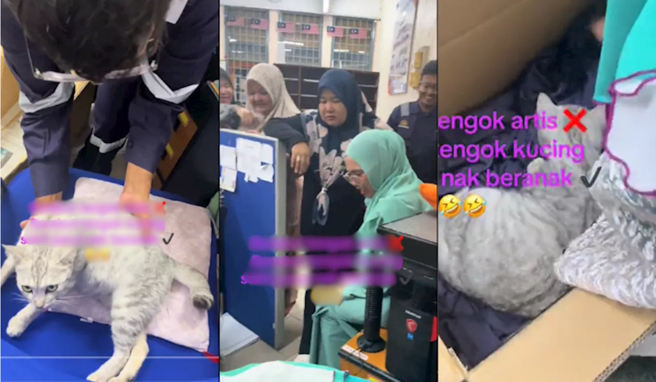 [Video] Aksi Kucing Nak ‘Bersalin’ Bikin Ribut Satu Office!