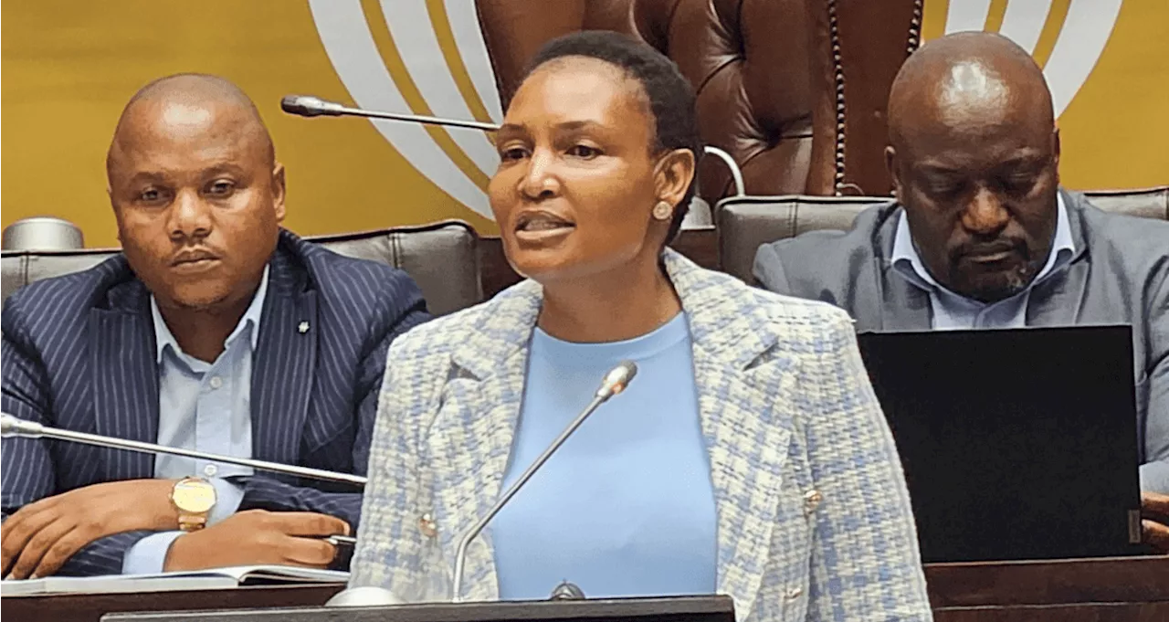 VBS-Linked Justice Minister Appears Before ANC Integrity Commission