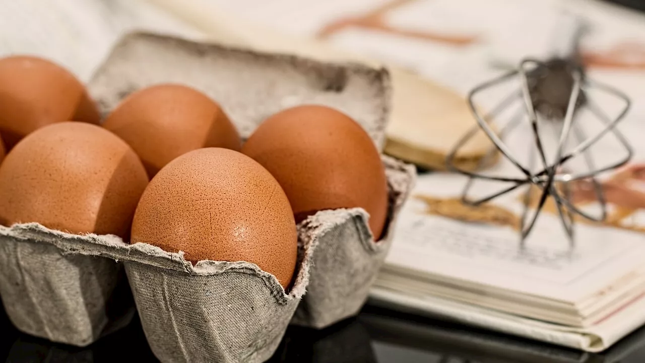 Ha mangiato più di 700 uova in un mese, ecco cosa è successo al suo colesterolo