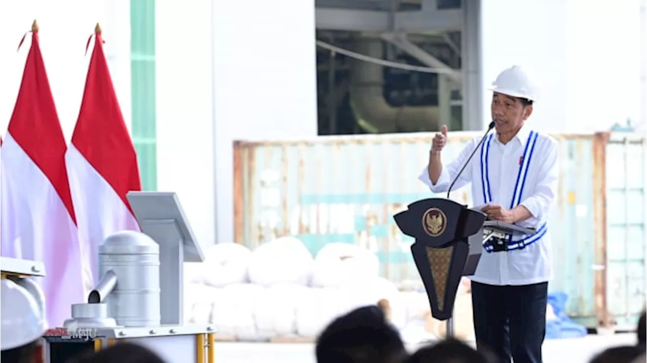 Presiden Jokowi Resmikan Tiga Smelter Baru, Program Hilirisasi Semakin Nyata