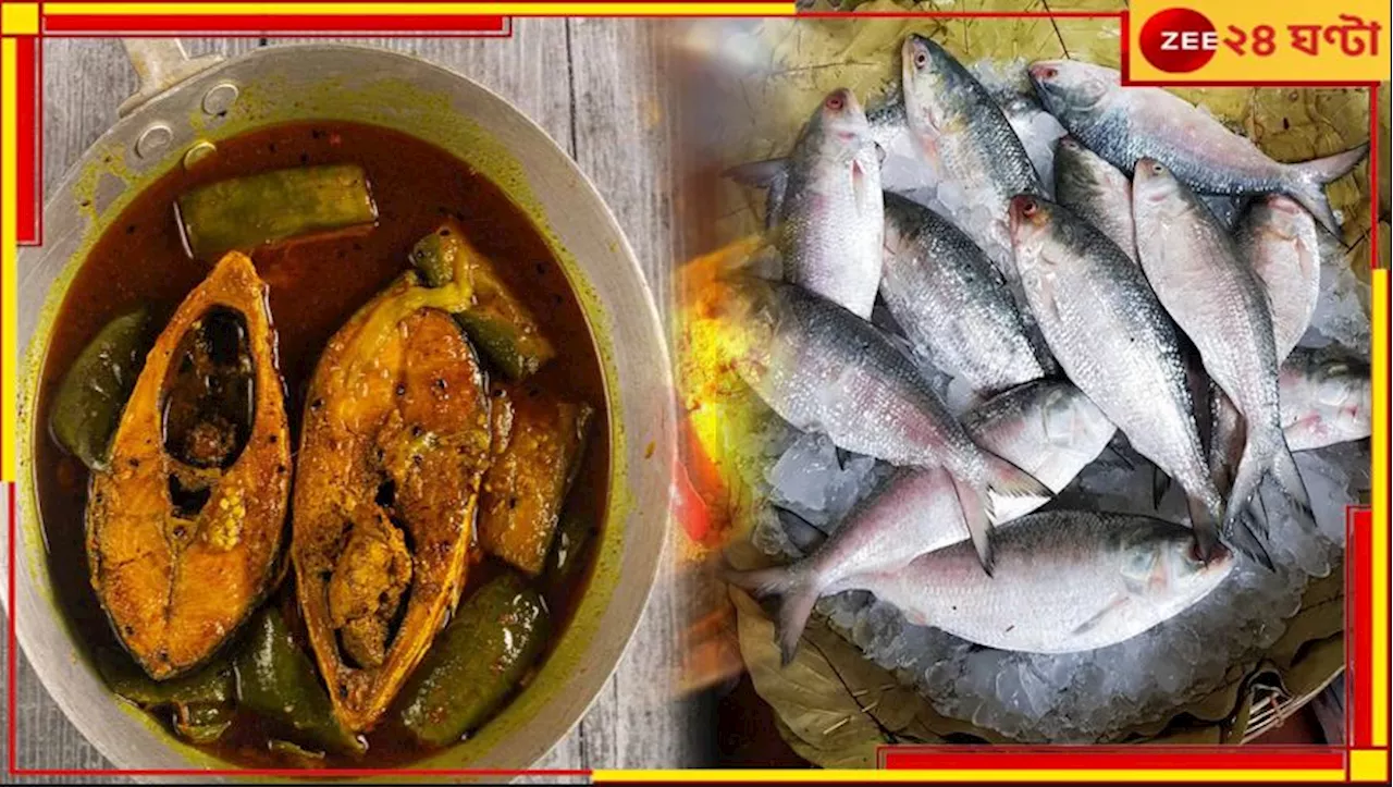 Bangladesh Ilish: পুজোর বেশ আগেই সুখবর! বৃহস্পতিবার সকালে বাজারে গেলেই পাবেন পদ্মার ইলিশ...