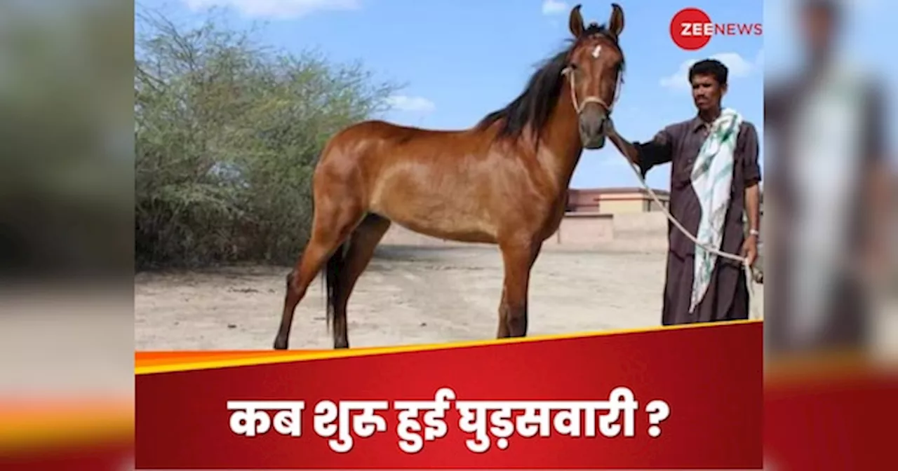 Horse Domestication: मनुष्य ने पहली बार कब की घोड़े की सवारी, कैसे बनाया था पालतू? नई स्टडी में चौंकाने वाले दावे