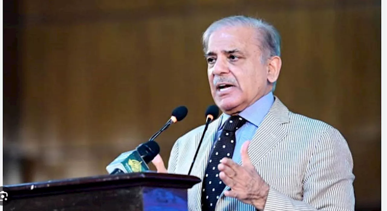 PM Shehbaz calls for sanctions on Israel for genocidal acts against Palestinians