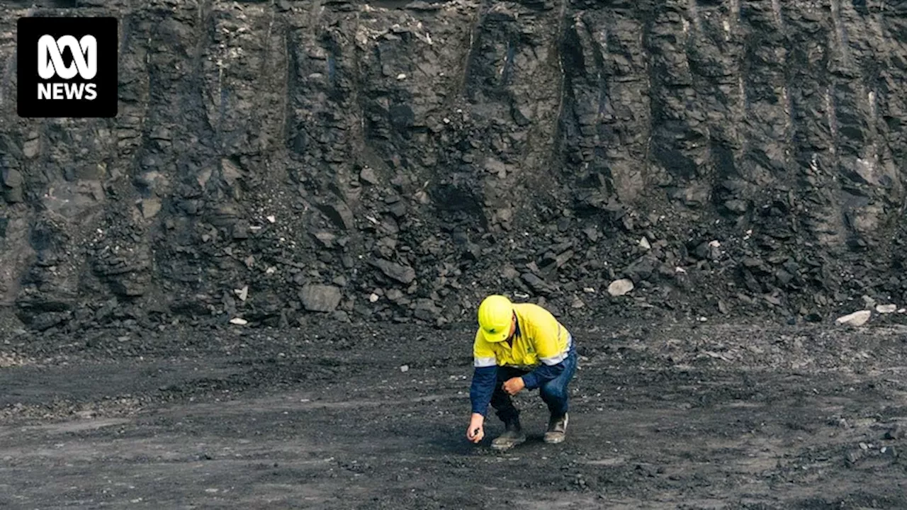 Coal miners launch joint bid to overturn Albanese government's industrial relations reforms