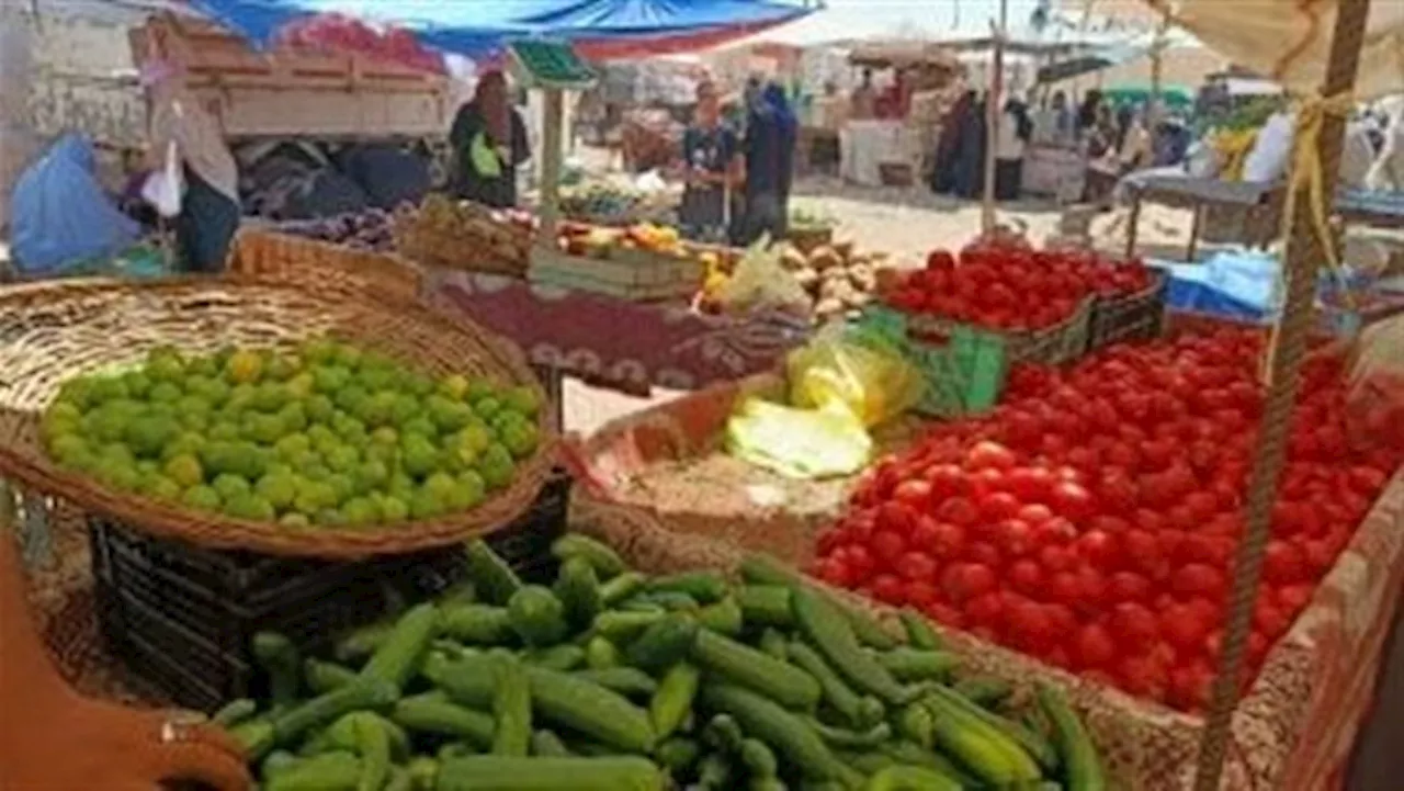 سؤل برلماني عن الأسباب الحقيقية وراء ارتفاع سعر الطماطم