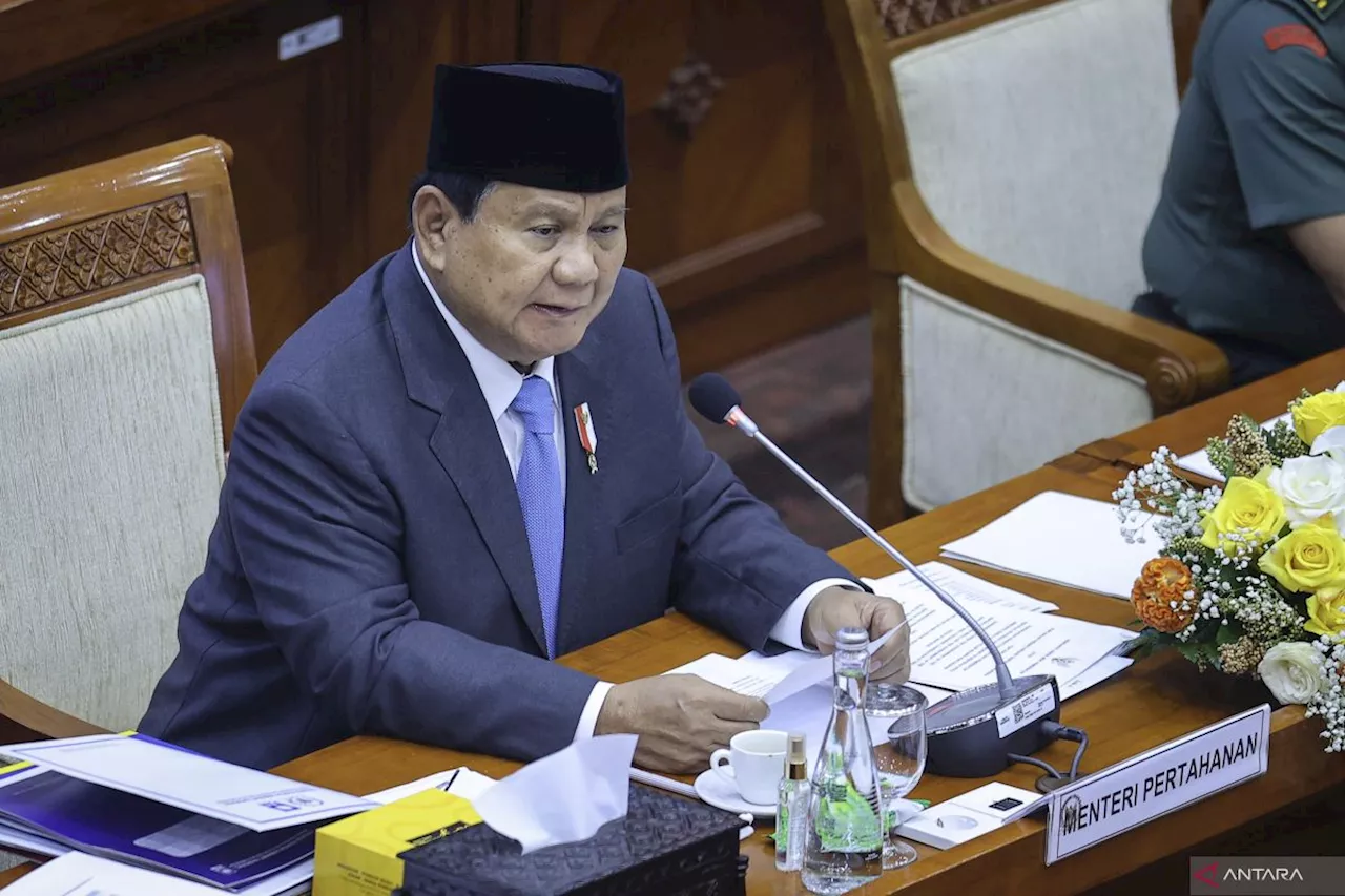 Akademisi sebut Prabowo harus bijak tentukan posisi menteri dan wamen