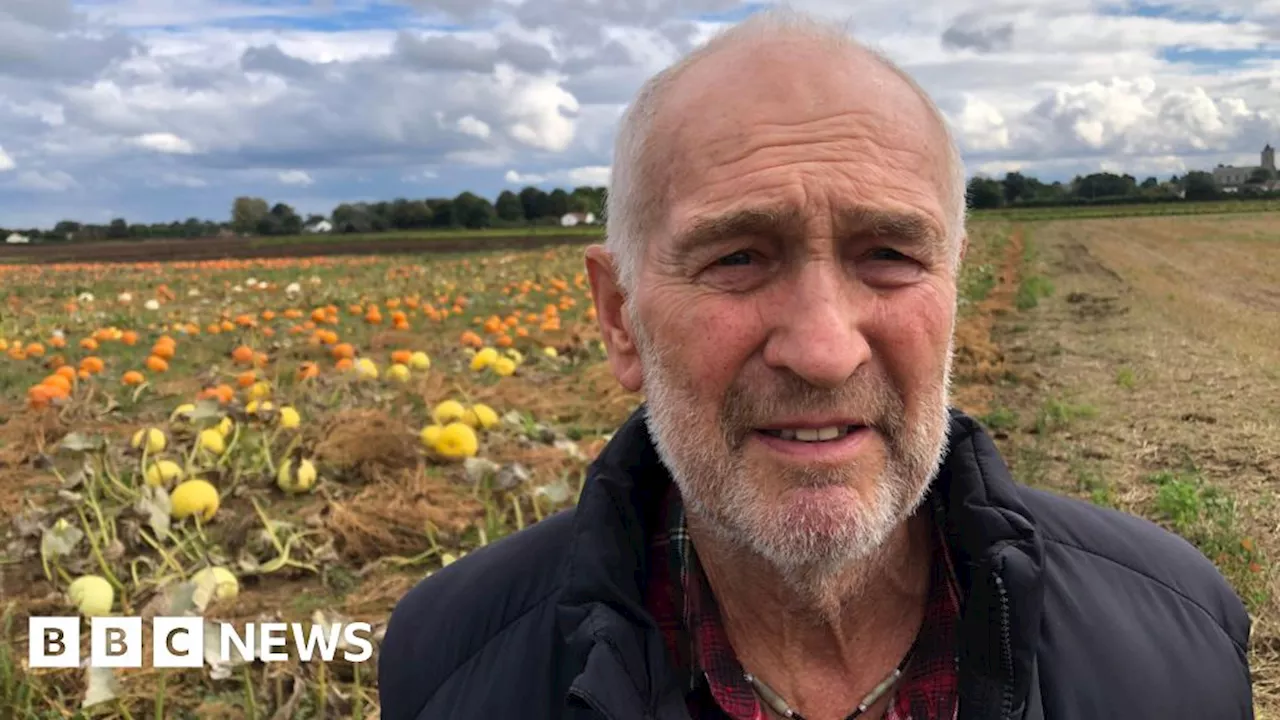 'Mr Grumpy' plans final Halloween at Isleham pumpkin patch