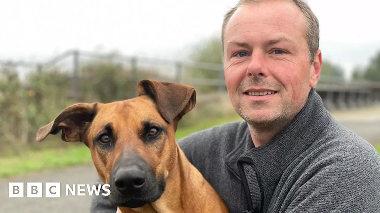 Lincoln dog owner's 'nightmare' after pet swallows fish hook