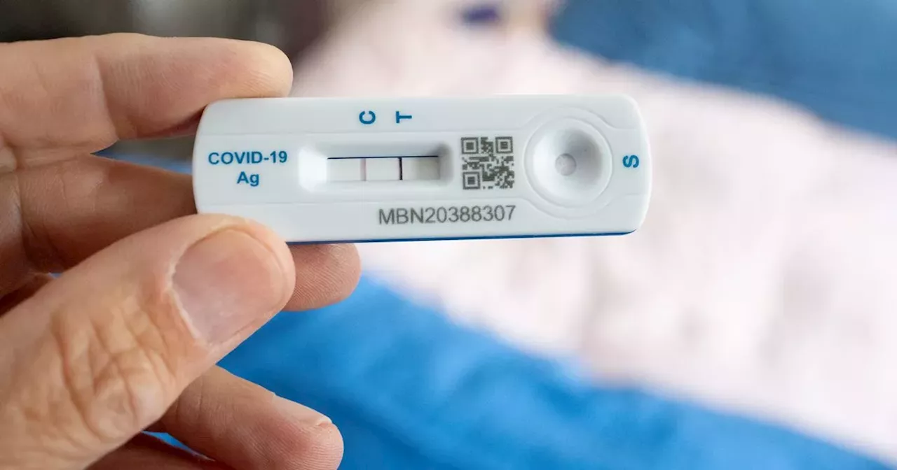 New Covid Variant XEC Spreads Globally Amidst Rise in Cases