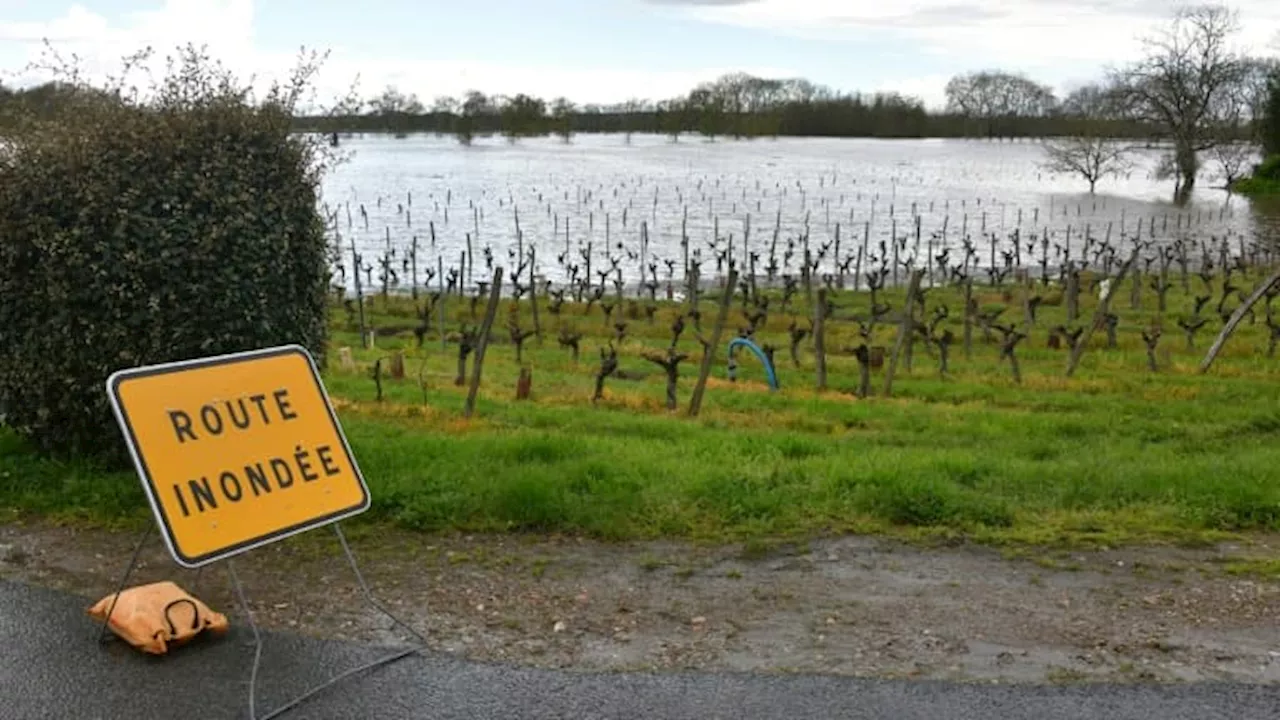 Seine-et-Marne: les images des inondations dans le secteur du Grand Morin