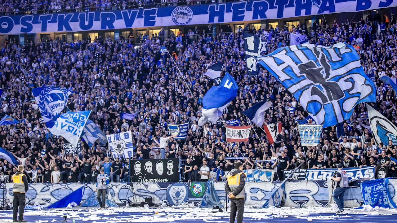 Hertha BSC: Hertha will ein 50.000-Plätze-Stadion