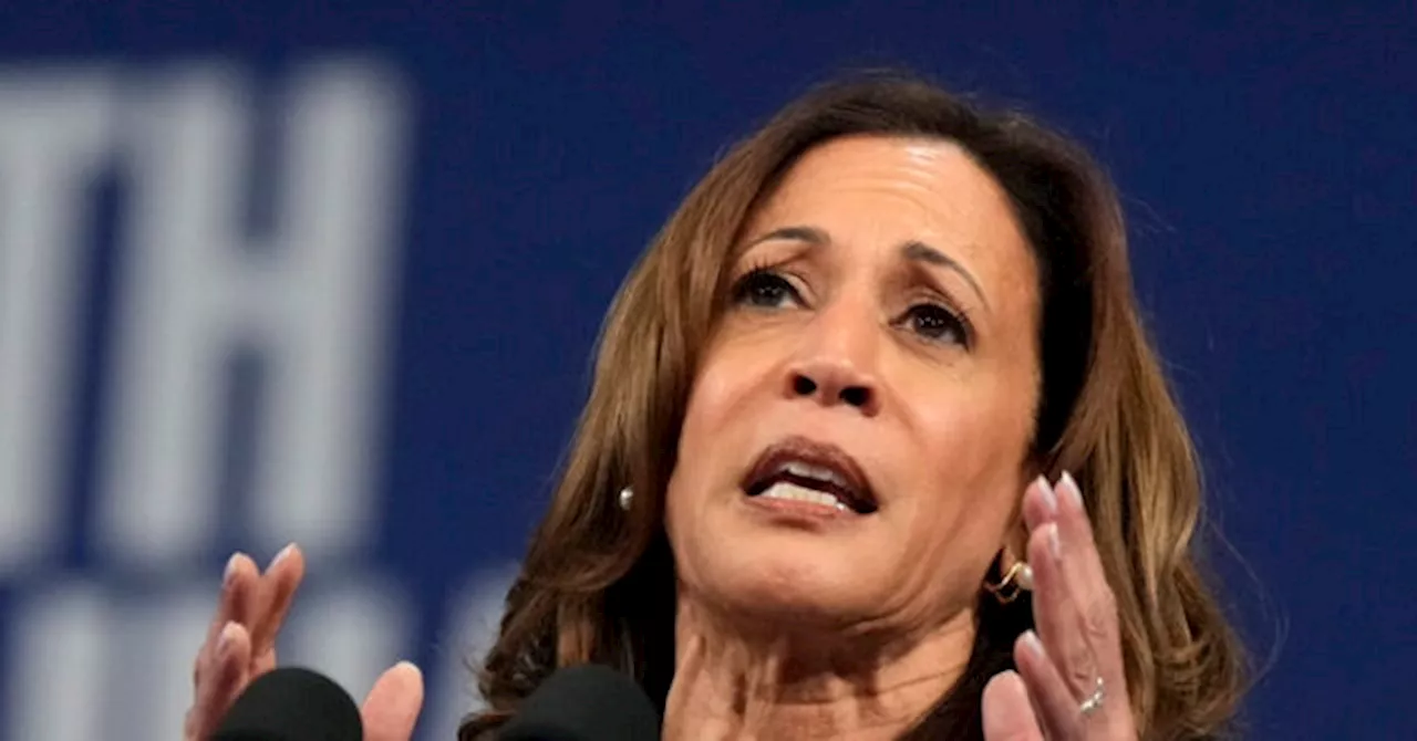 Harris Dodges on Difference Between ‘Price Gouging’ Plan, Price Controls