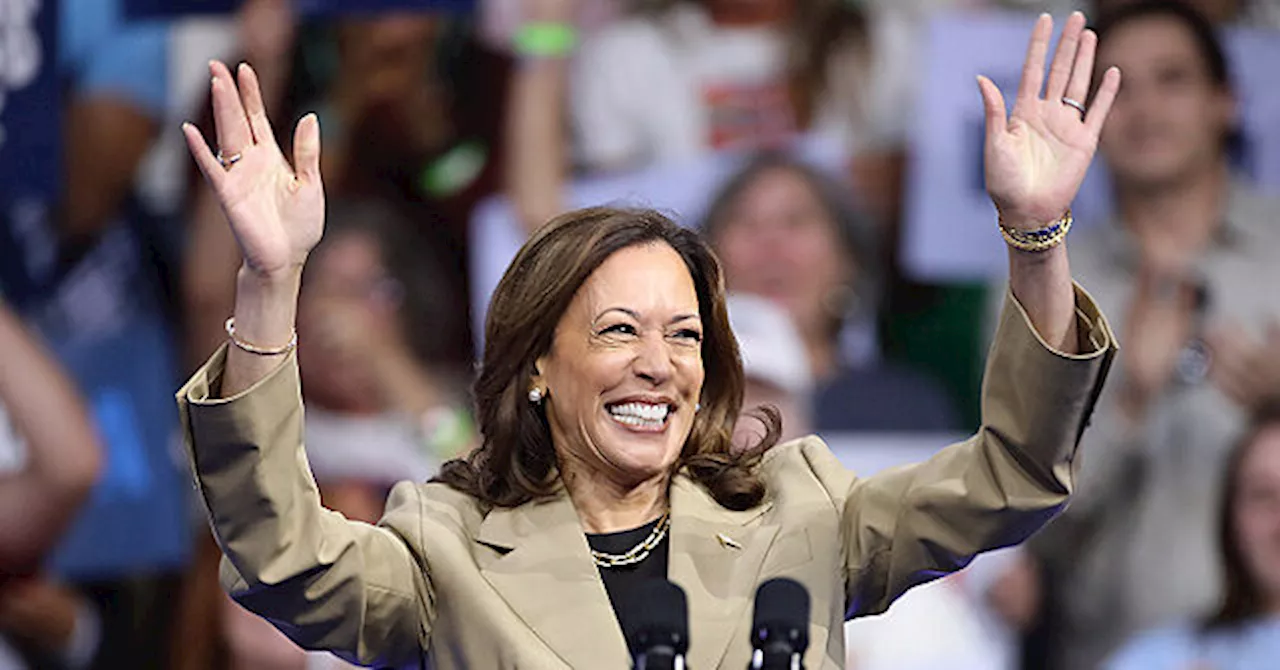 Nolte: Both Putin and Zelensky Want More War and Favor Kamala Harris