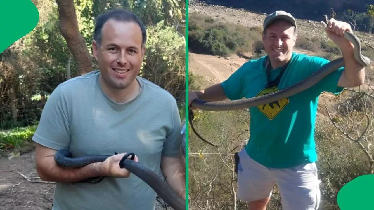 “Vine Snakes Are Becoming Active”: Snake Expert Nick Evans Shows Picture of Cheeky Rescue