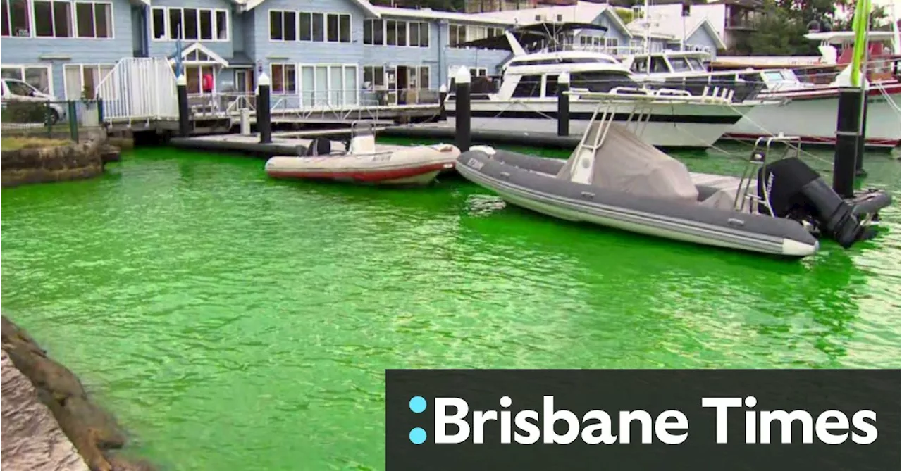 Mysterious neon green water appears in Sydney Harbour