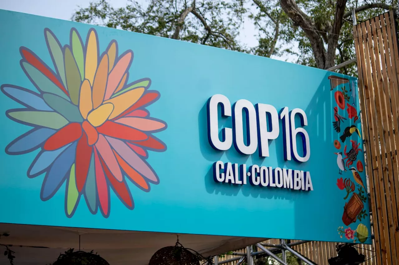 Aprobado en último debate proyecto que exime del IVA a la COP16