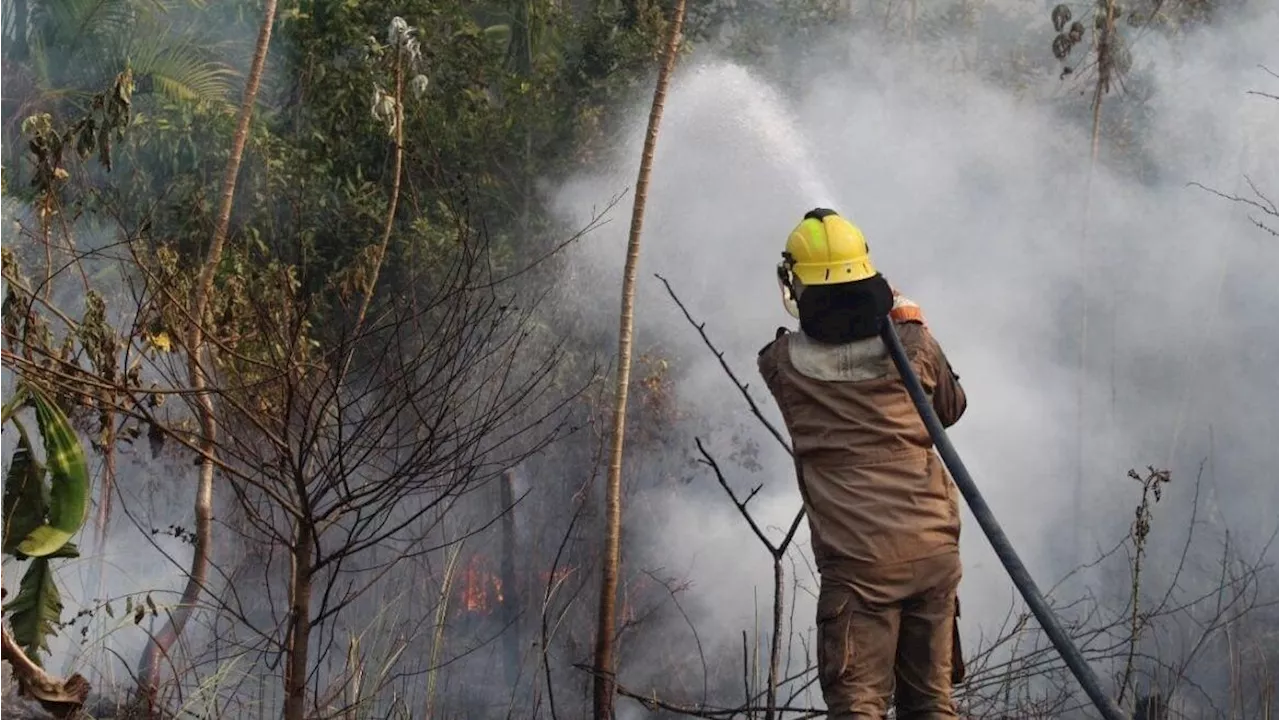 BNDES aprova R$ 180 milhões do Fundo Amazônia para Corpos de Bombeiros de 4 estados