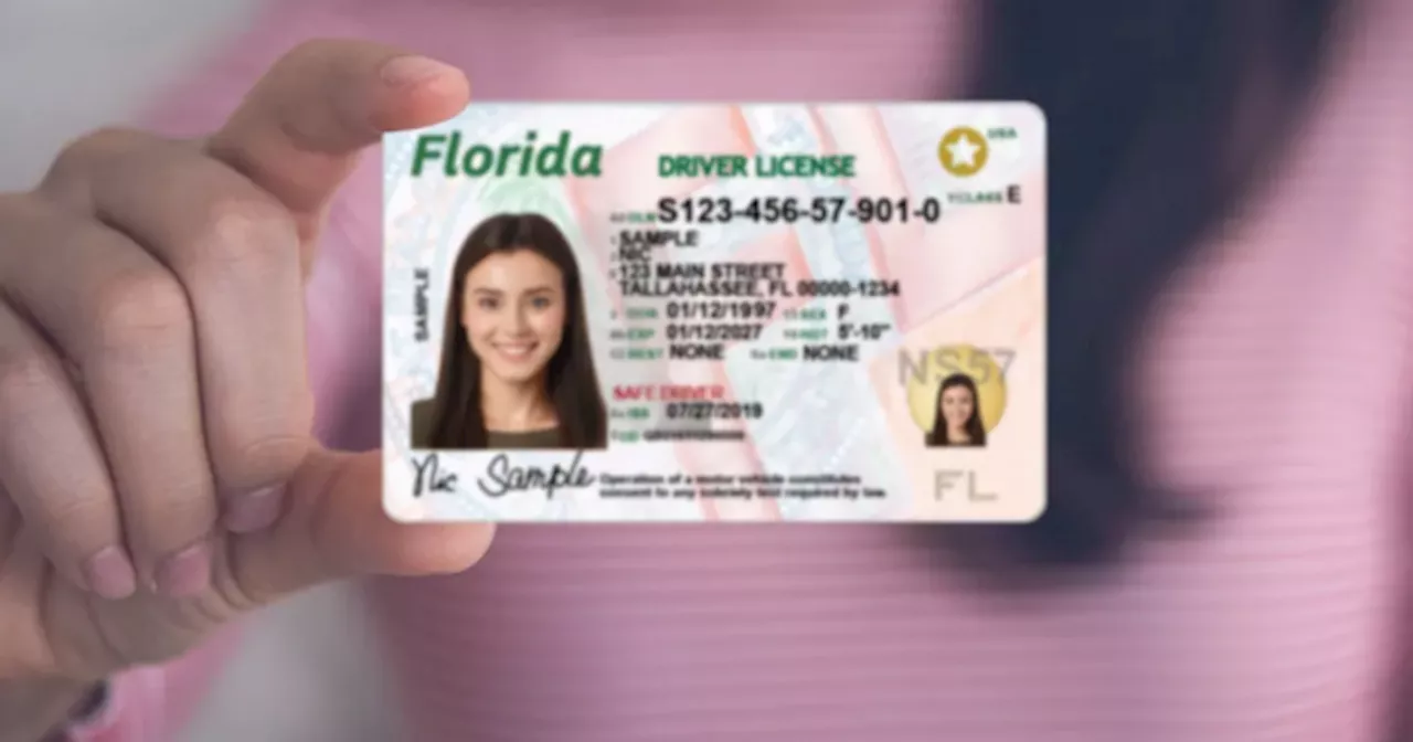 LICENCIA DE CONDUCIR: esta AYUDA VITAL ya está disponible por la OPERACIÓN LUZ VERDE en FLORIDA