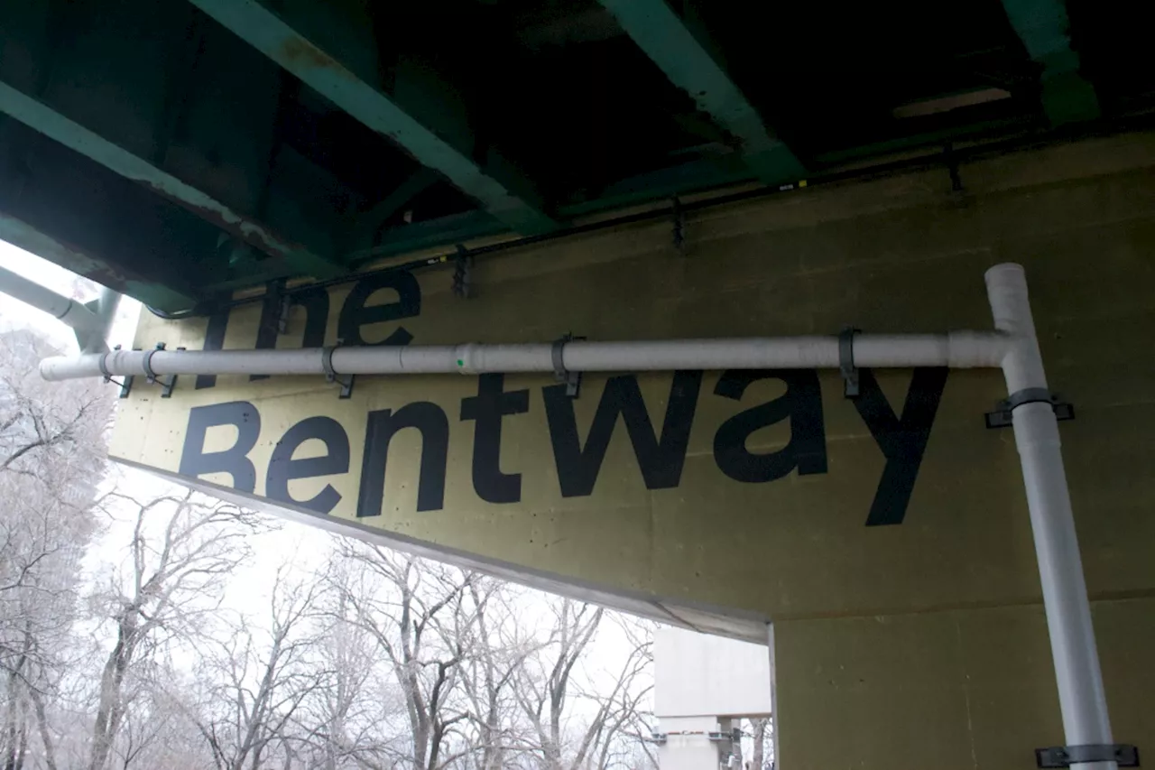 Plan for 'new space for play' beneath Gardiner Expressway unveiled