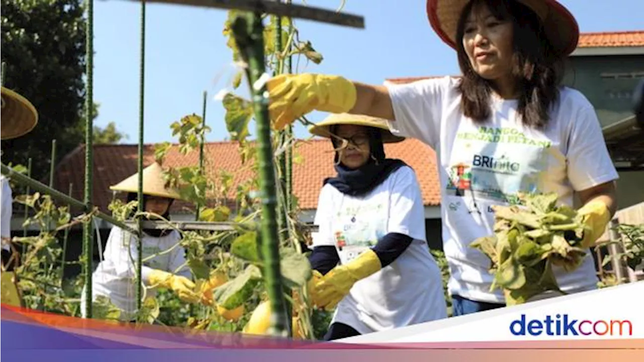 Upaya BRI Dukung Pemberdayaan Wanita-Jaga Lingkungan Berbuah Penghargaan