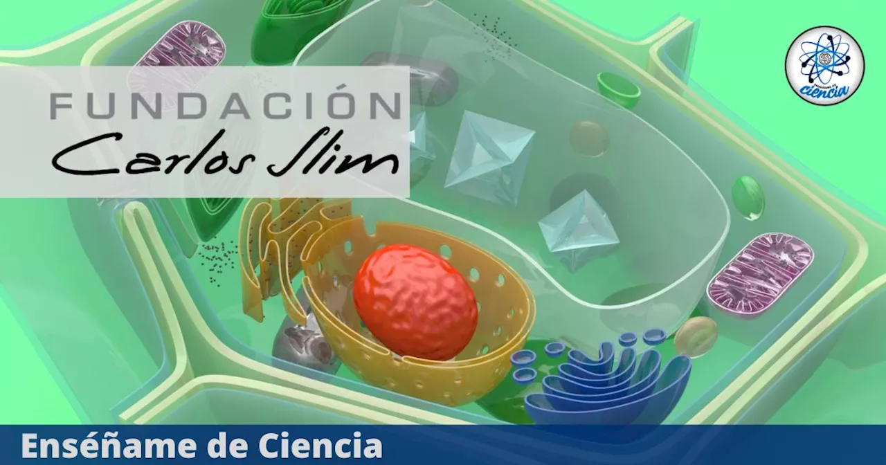 Fundación Carlos Slim lanzó curso virtual de BIOLOGÍA CELULAR, ¡100% GRATUITO y CERTIFICADO!