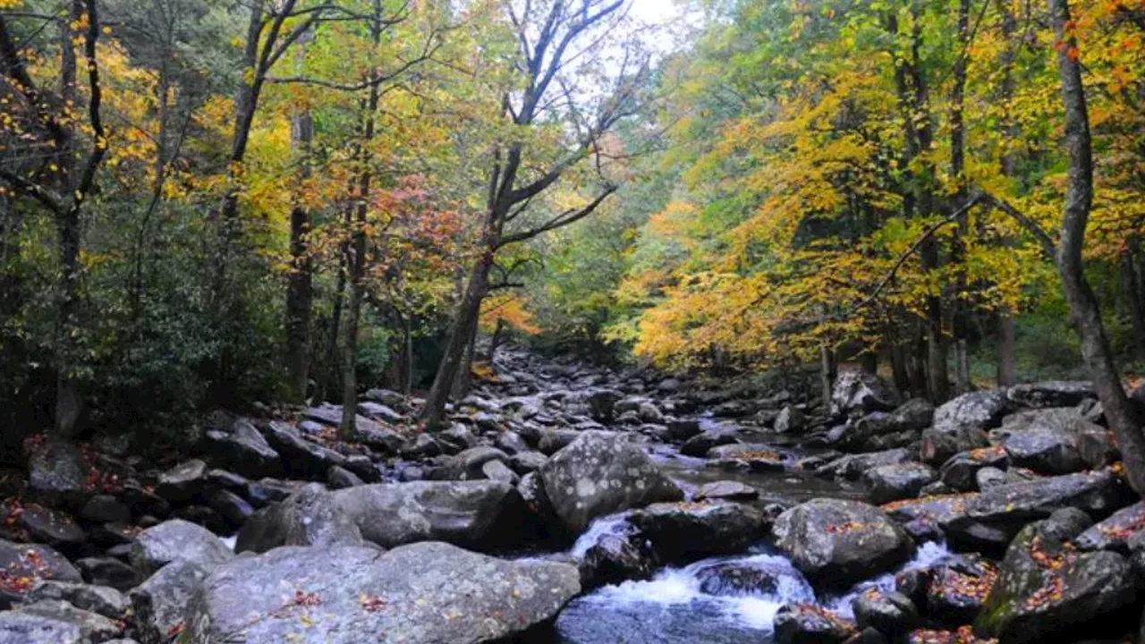 Hurricane Helene forces closures at national parks across the Southeast