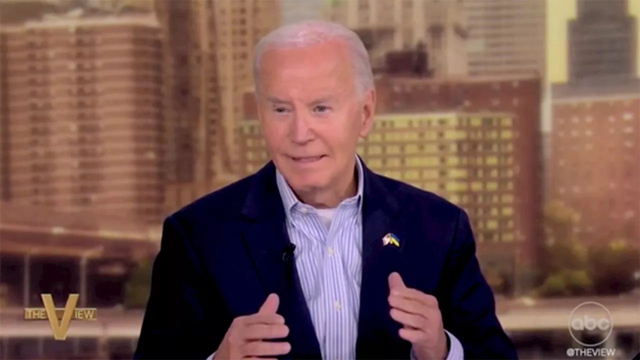 Biden says Harris handled 'everything from foreign policy to domestic policy' under his administration