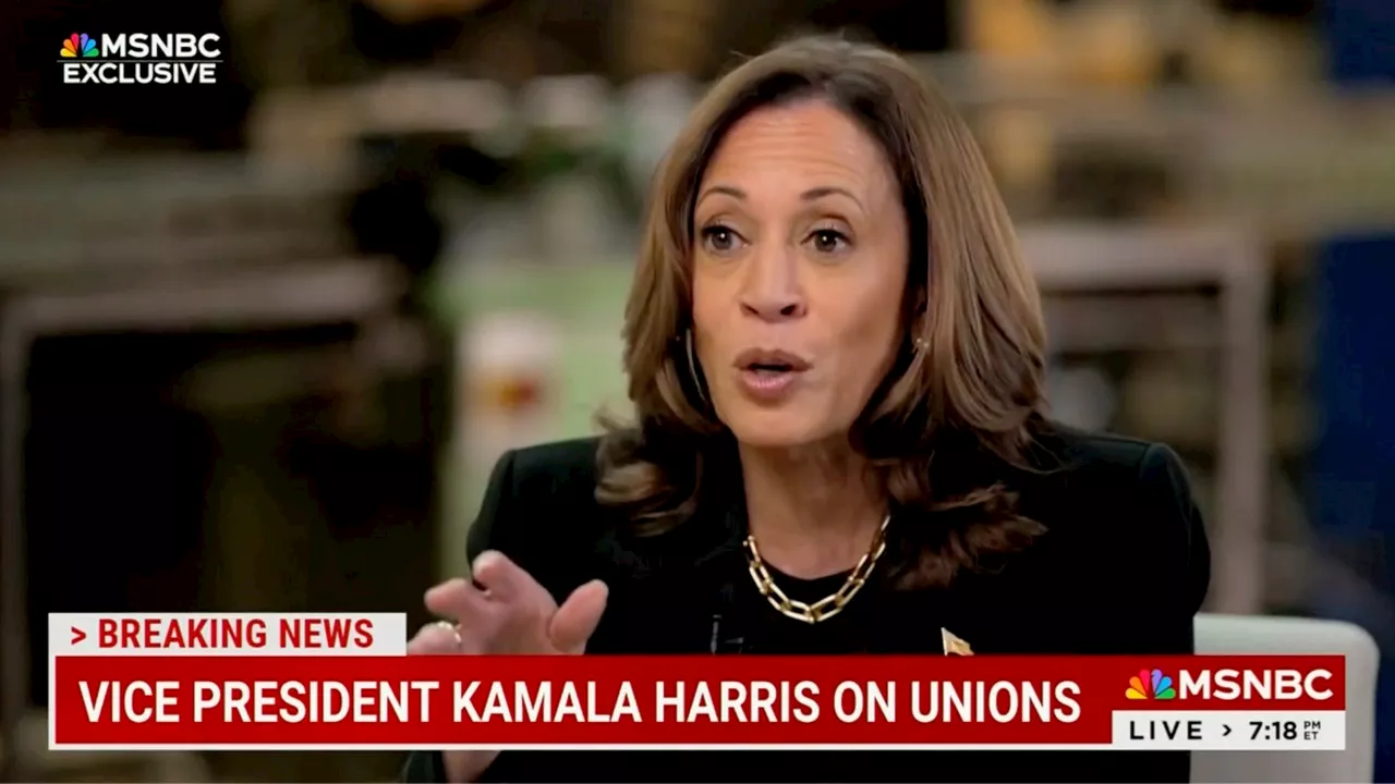 Harris Grilled By Ruhle On Teamsters’ Refusal To Endorse Democrats