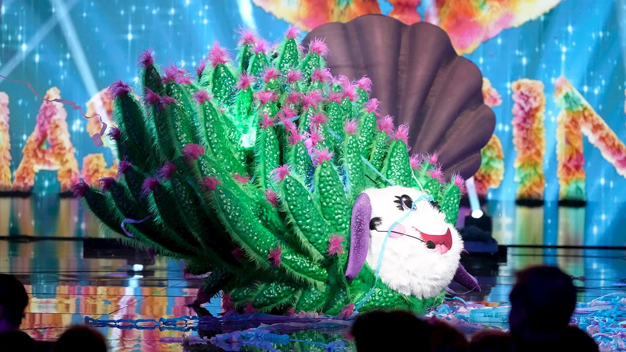 John Elway Revealed As The Leaf Sheep On 'The Masked Singer'