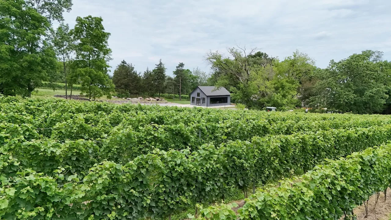 A toast to Canadian sparkling wine