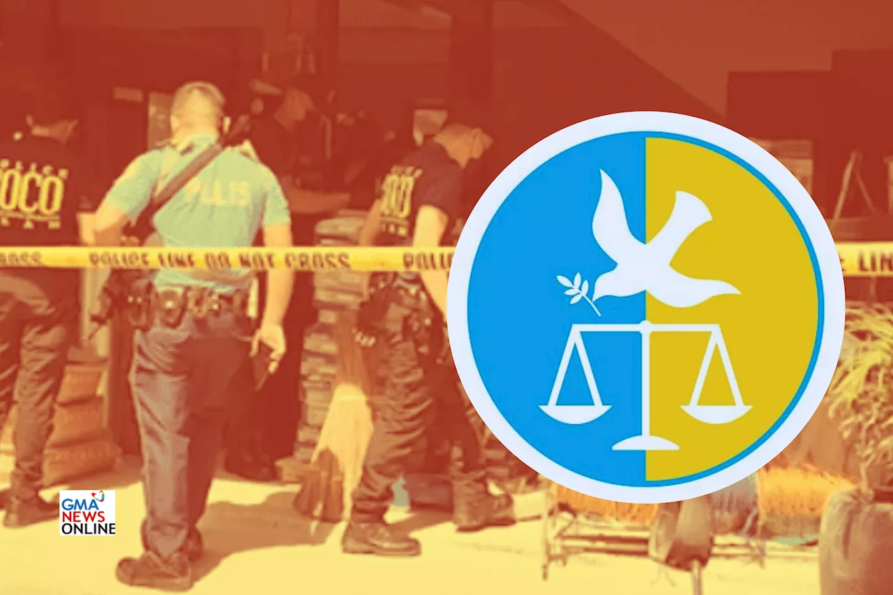 CHR 'alarmed' over gun violence in Abra