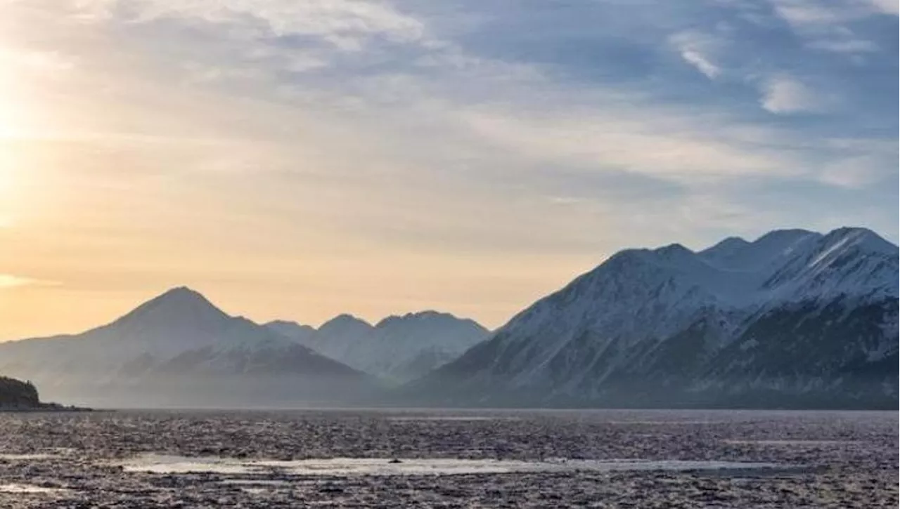 Ecco perché un'isola dell’Alaska usa burro di arachidi e luci nere per trovare un ratto che potrebbe non esis…