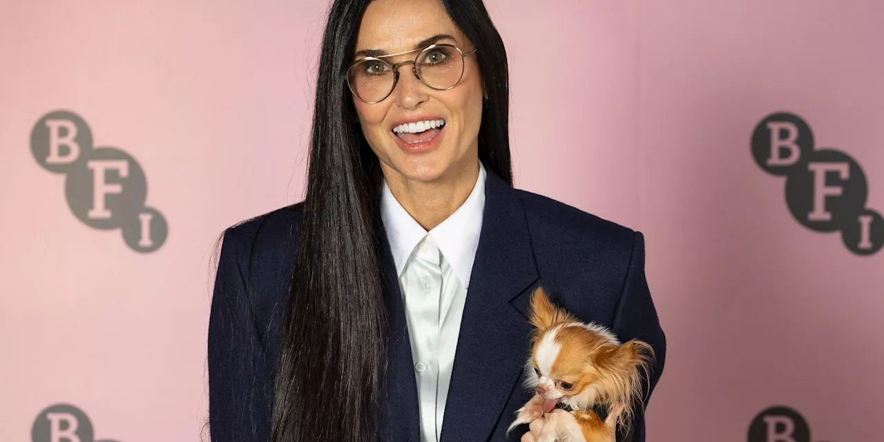 Demi Moore Matched Her Dog in Slouchy Parachute Pants and a Preppy Blazer