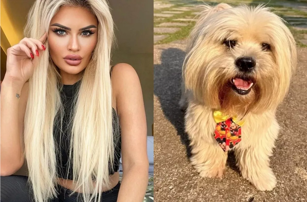 Influencer faz anúncio inusitado procurando namorado para seu pet; veja