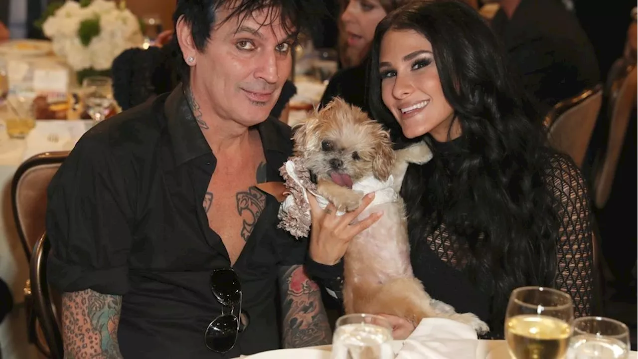 Video shows Tommy Lee's wife chase coyote after animal grabs dog outside California home