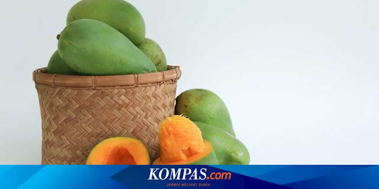 4 Cara Mudah Bikin Mangga Cepat Matang