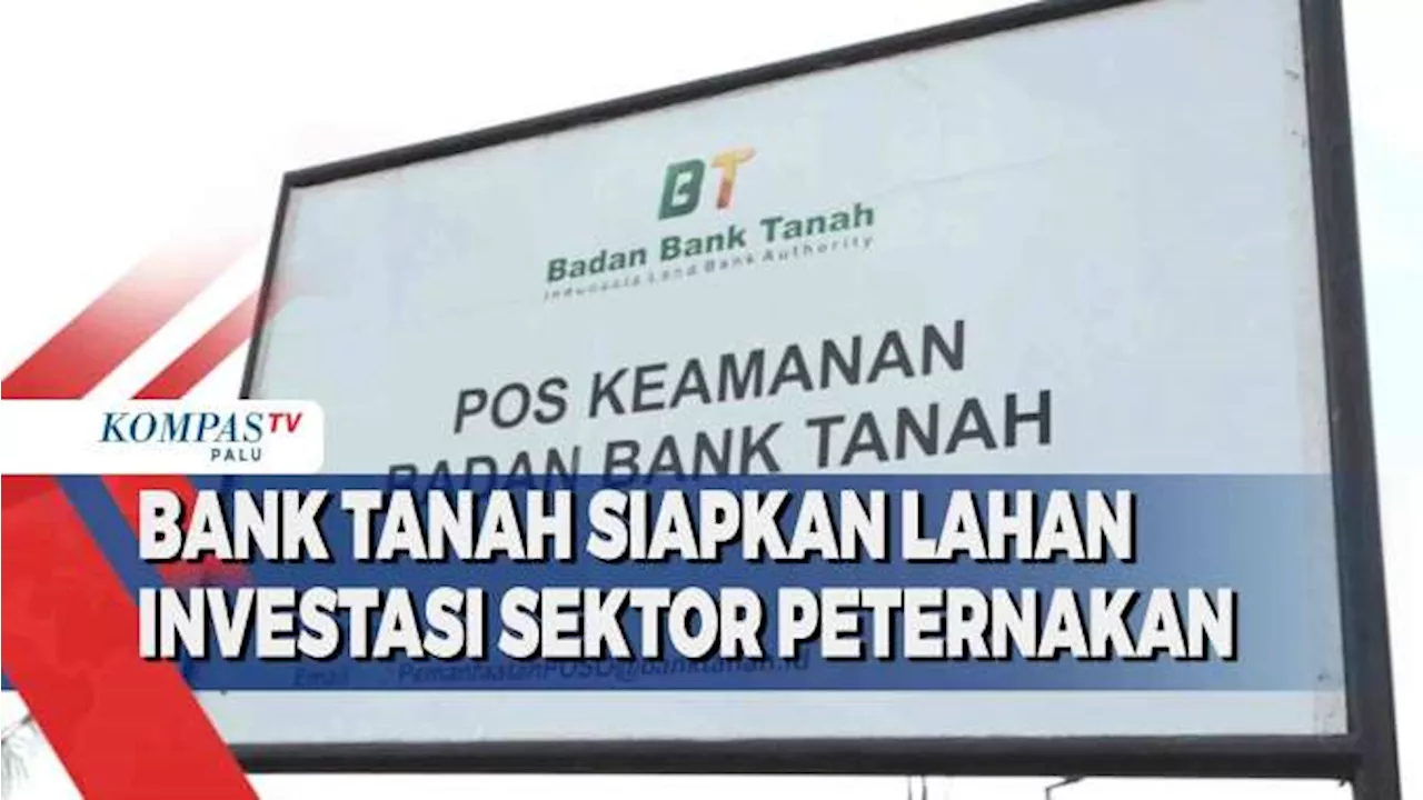 Bank Tanah Siapkan Lahan Untuk Investasi Sektor Peternakan di Lembah Napu