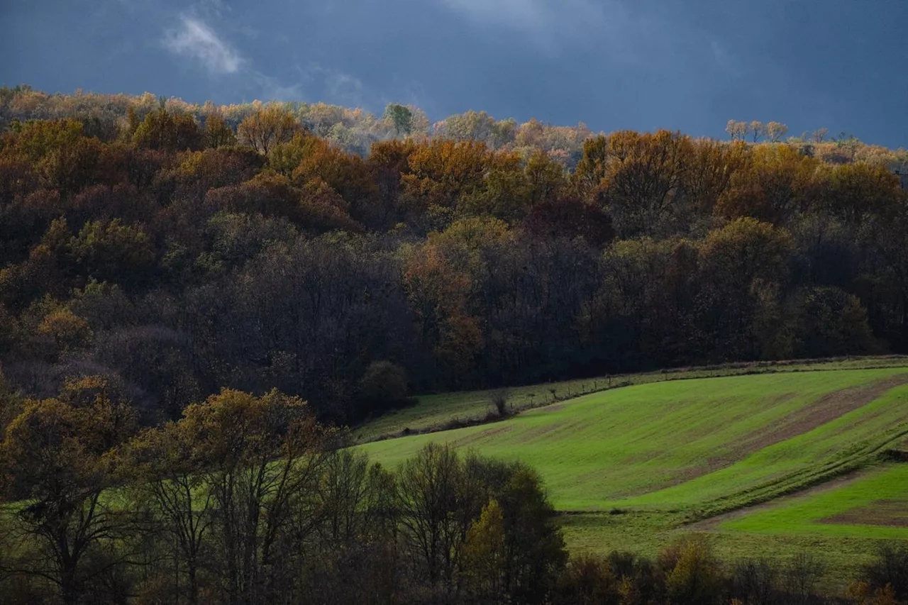 « Les Églises doivent mettre leur patrimoine agricole au service du bien commun » : l’appel inédit de Terre de liens