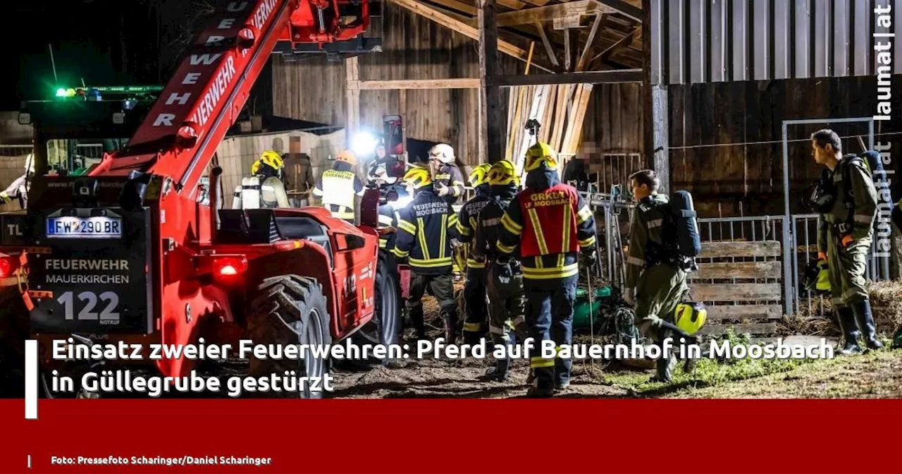 Einsatz zweier Feuerwehren: Pferd auf Bauernhof in Moosbach in Güllegrube gestürzt