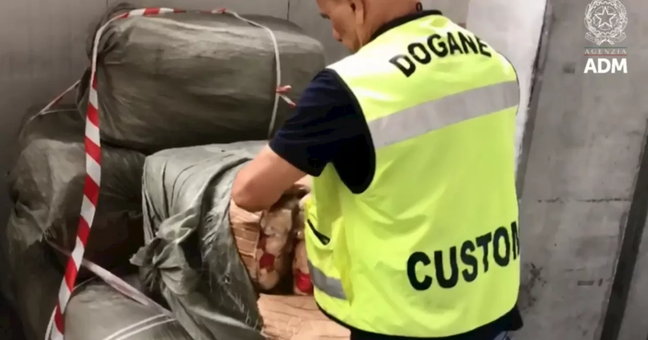 Livorno, sequestrati 4mila peluche in arrivo dalla Cina: cosa contengono, un grosso pericolo