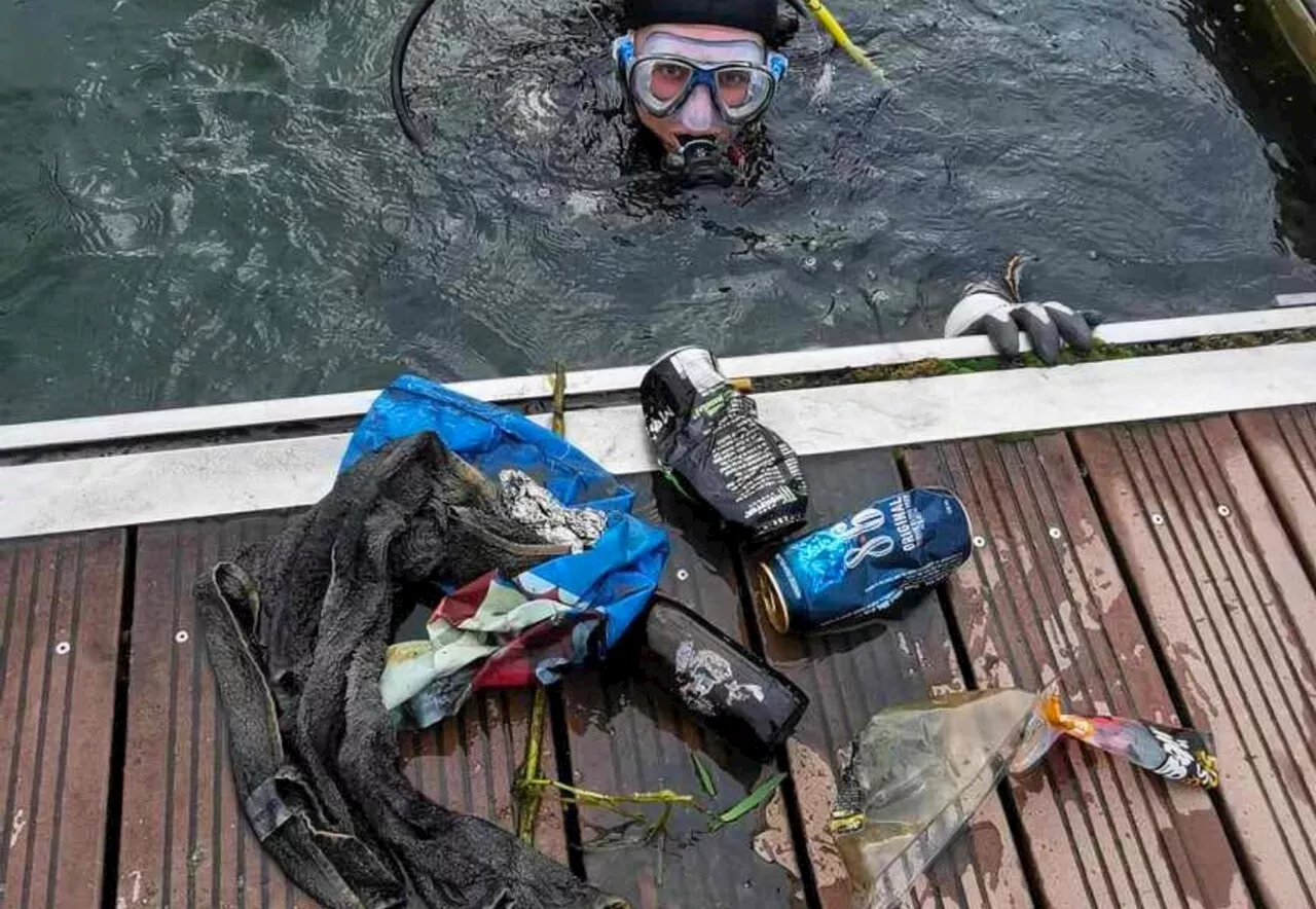 Un bassin très pollué nettoyé dans l'Oise : 'des grenouilles au milieu des canettes'