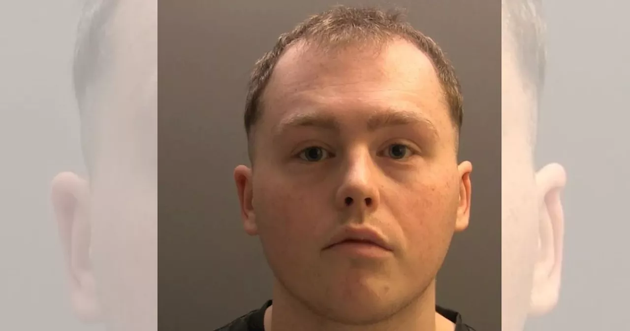 Gamer, 21, caught viewing banned videos on TikTok at Lake District hotel