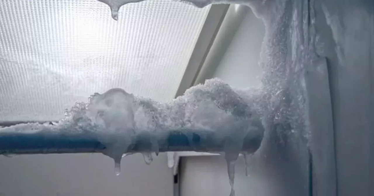 TikTok Influencer Reveals Simple Freezer Defrosting Hack