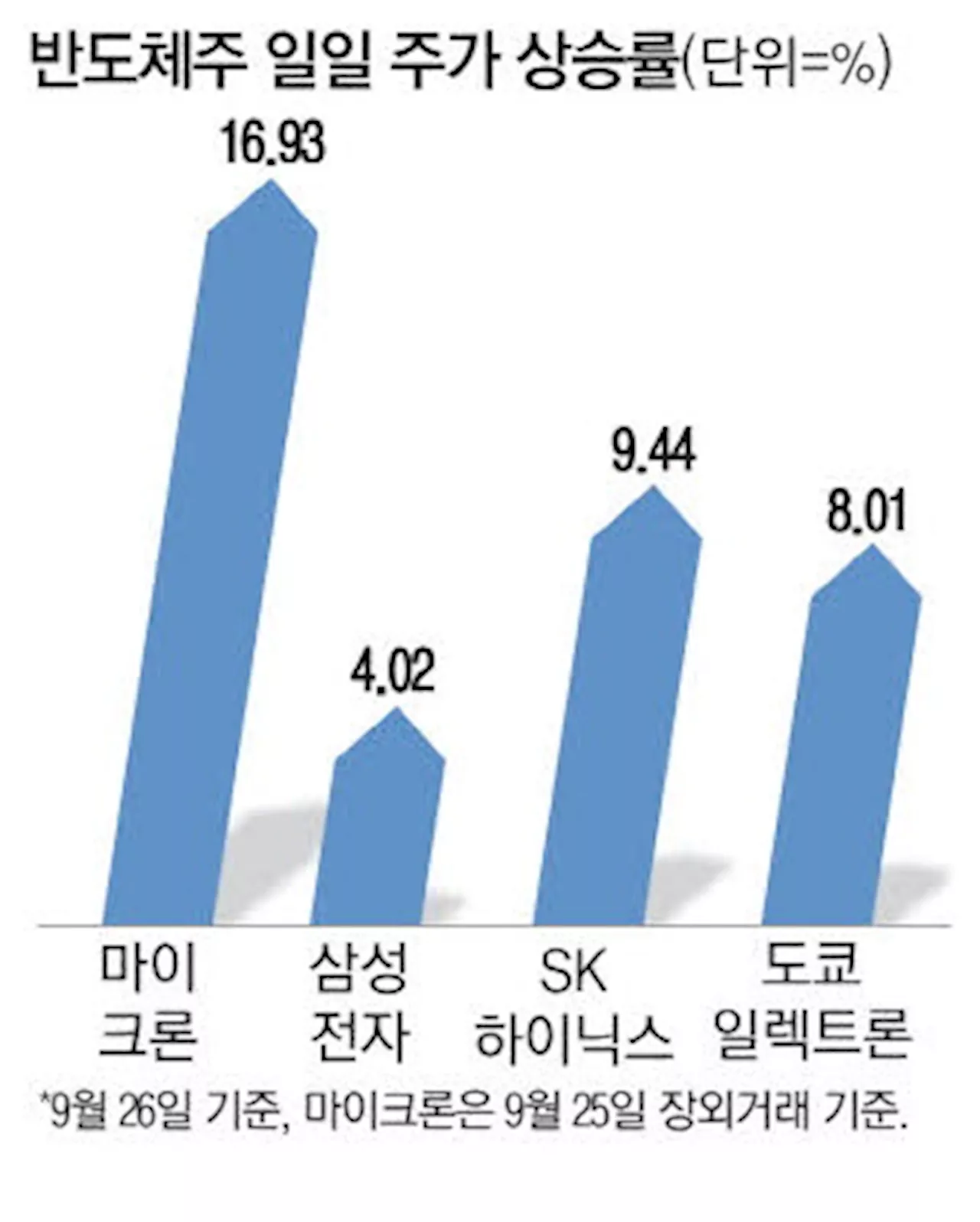 마이크론 연말 실적 전망도 쾌청 삼성전자·SK하이닉스 주가 급등