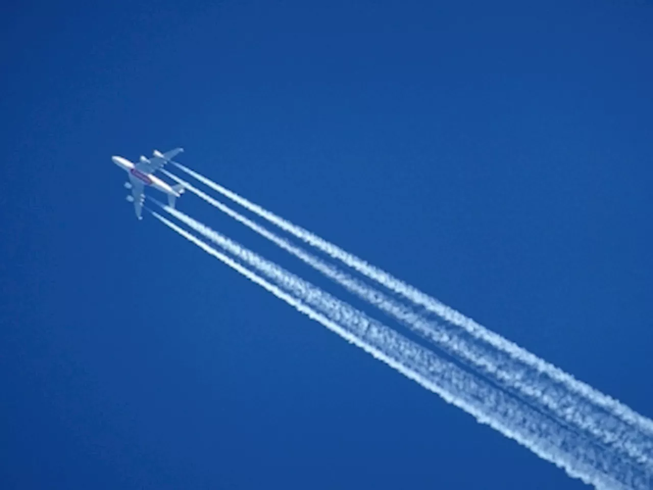 Plane contrails: What you need to know about the white fluffy contributors to global warming