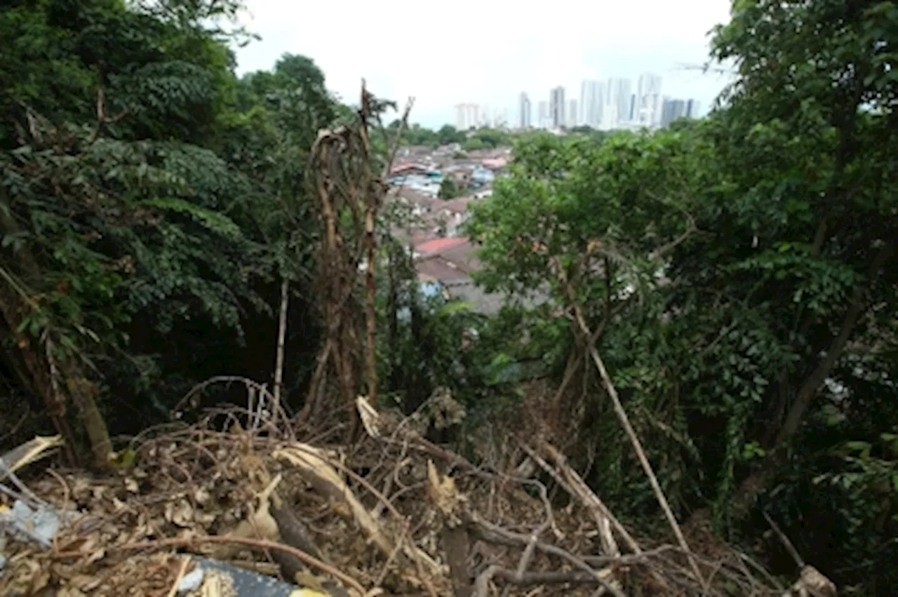 ‘We don’t want them to pay for our funerals...’: At Pepper Estate in Penang, residents fear falling trees and want authorities to act now