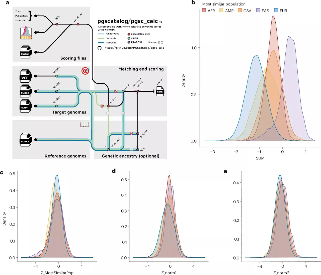 Polygenic score database updates increase diversity and usability of genetic data