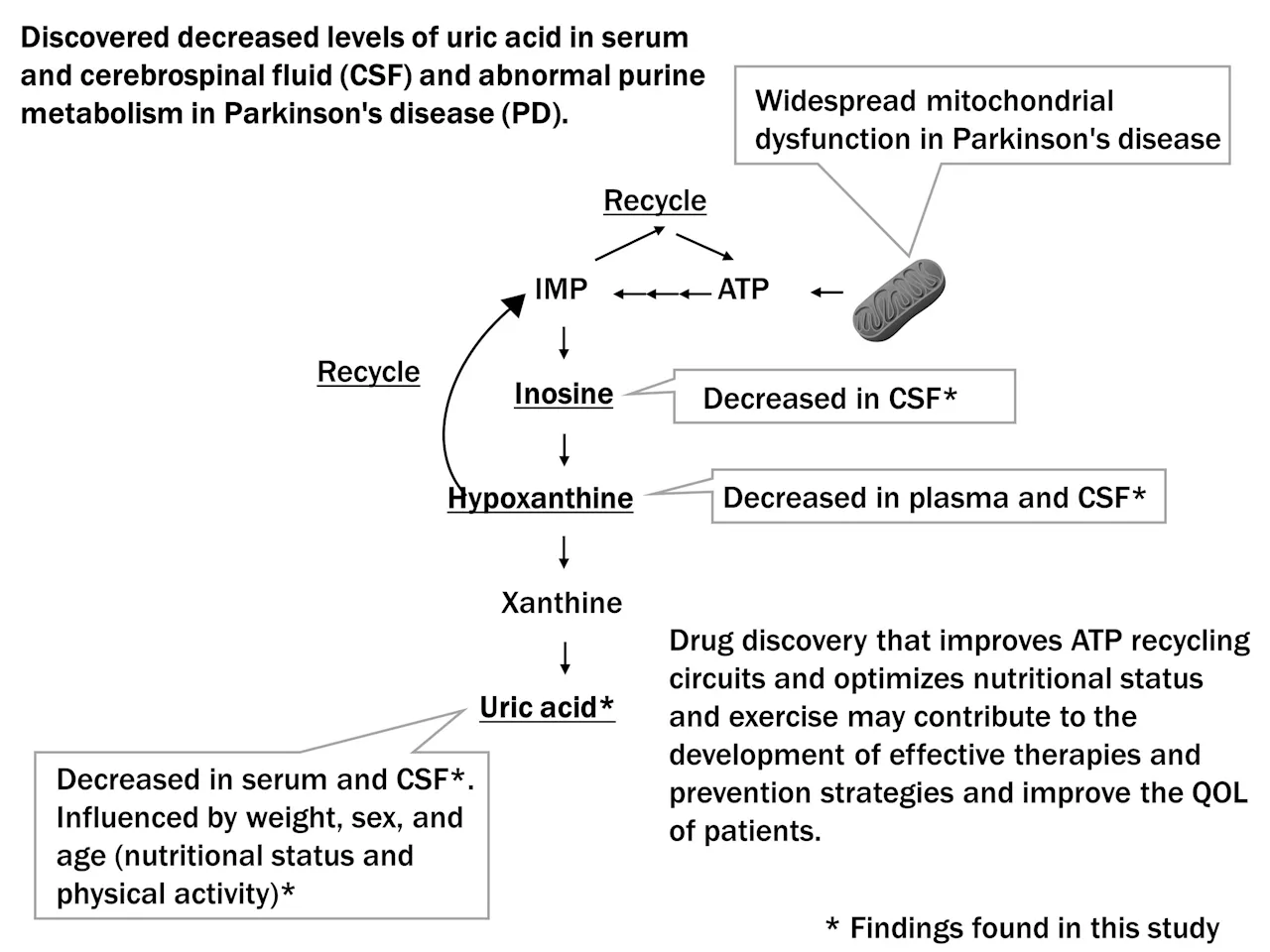 Unlocking the energy crisis in Parkinson's: New findings on metabolic disruptions